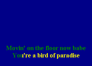 Movin' on the floor now babe
You're a bird of paradise