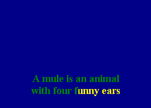 A mule is an animal
with four funny ears
