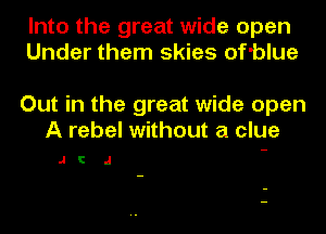 Into the great wide open
Under them skies of'blue

Out in the great wide open
A rebel without a clue

JC J