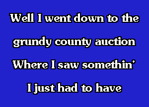Well I went down to the
grundy county auction

Where I saw somethin'

I just had to have