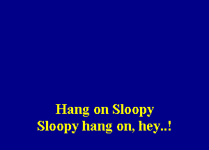 Hang on Sloopy
Sloopy hang on, hey..!