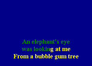 An elephant's eye
was looking at me
From a bubble gum tree