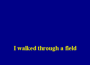 I walked through a field