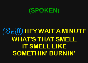 HEY WAIT A MINUTE

WHAT'S THAT SMELL
IT SMELL LIKE

SOMETHIN' BURNIN' l