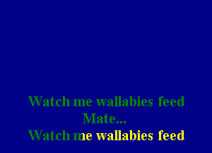 Watch me wallabies feed
Mate...
Watch me wallabies feed