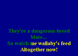 They're a dangerous breed
Mate...
So watch me wallaby's feed
Altogether now!