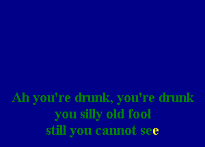 Ah you're drunk, you're drunk
you silly old fool
still you cannot see