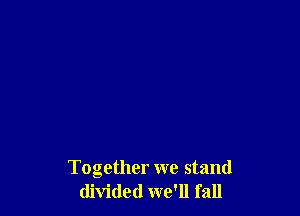 Together we stand
divided we'll fall