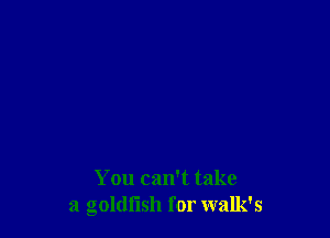 You can't take
a goldfish for walk's