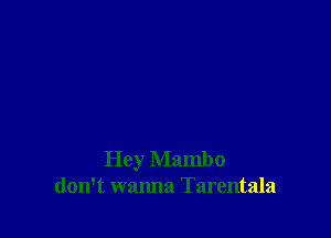 Hey Mambo
don't wanna Tarentala