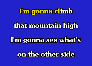 I'm gonna climb
that mountain high
I'm gonna see what's

on the other side