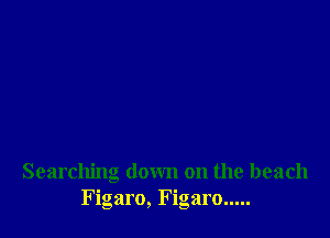 Searching down on the beach
Figaro, Figaro.....