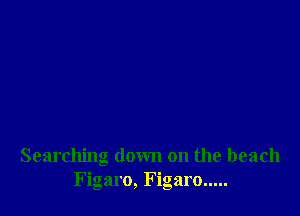 Searching down on the beach
Figaro, Figaro.....