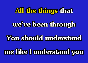 All the things that

we've been through
You should understand

me like I understand you