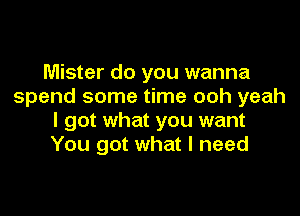 Mister do you wanna
spend some time ooh yeah

I got what you want
You got what I need