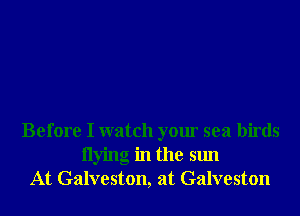 Before I watch your sea birds
Ilying in the sun
At Galveston, at Galveston