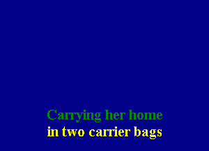 Carrying her home
in two carrier bags