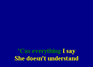 'Cos everything I say
She doesn't understand