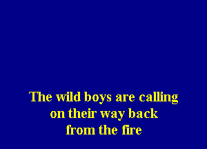 The wild boys are calling
on their way back
from the lire