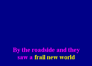 By the roadside and they
saw a frail new world