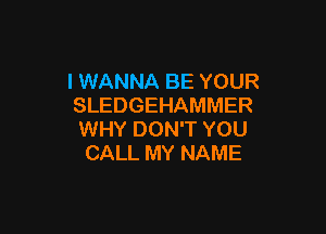 I WANNA BE YOUR
SLEDGEHAMMER

WHY DON'T YOU
CALL MY NAME