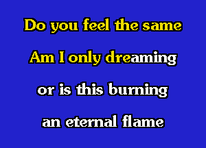 Do you feel the same
Am I only dreaming
or is this burning

an eternal flame