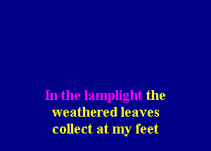 In the Iamplight the
weathered leaves
collect at my feet