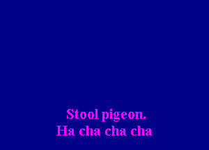 Stool pigeon.
Ha cha cha cha