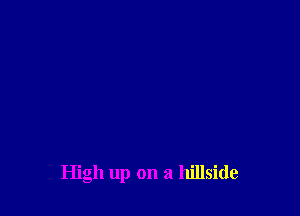 High up on a hillside