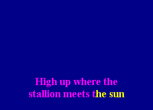 High up where the
stallion meets the sun