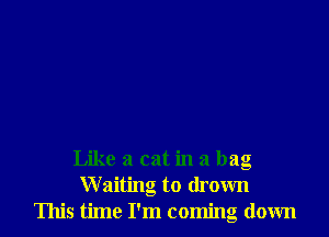 Like a cat in a bag
W aiting to drown
This time I'm coming down