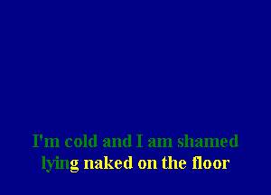 I'm cold and I am shamed
lying naked on the noor