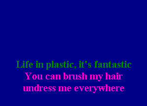 Life in plastic, it's fantastic
You can brush my hair
undress me evemvhere