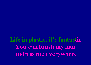 Life in plastic, it's fantastic
You can brush my hair
undress me evemvhere