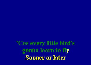 'Cos every little bird's
gonna learn to fly
Sooner or later