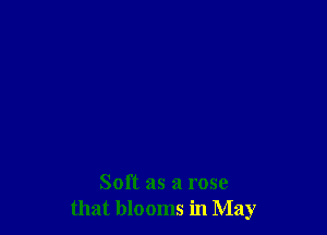 Soft as a rose
that blooms in May