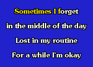 Sometimes I forget
in the middle of the day
Lost in my routine

For a while I'm okay