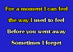 For a moment I can feel
the way I used to feel
Before you went away

Sometimes I forget