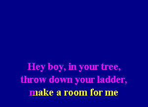 Hey boy, in your tree,
throw down your ladder,
make a room for me