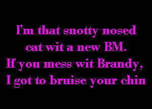I'm that snotty nosed
cat Wit a new BM.
If you mess Wit Brandy,
I got to bruise your chin