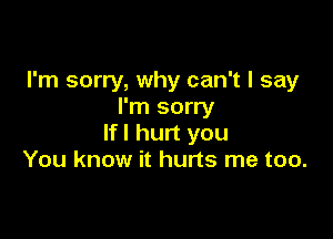 I'm sorry, why can't I say
I'm sorry

If I hurt you
You know it hurts me too.