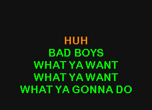 HUH
BAD BOYS

WHAT YA WANT
WHAT YA WANT
WHAT YA GONNA DO