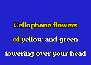 Cellophane flowers
of yellow and green

towering over your head