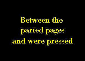 Between the
parted pages

and were pressed