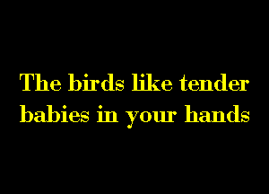 The birds like tender
babies in your hands