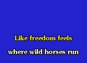 Like freedom feels

where wild horses run