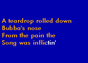 A teardrop rolled down
Bubba's nose

From the pain the
Song was inflictin'