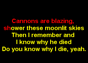 Cannons are blazing,
shower these moonlit skies
Then I remember and
I know why he died
Do you know why I die, yeah.