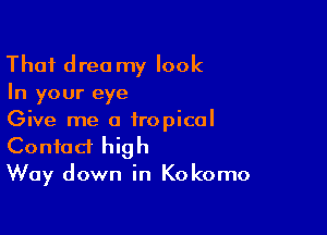 That drea my look
In your eye

Give me a tropical

Contact high
Way down in Kokomo
