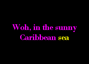 VVoh, in the sunny

Caribbean sea